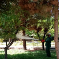 عملیات سمپاشی